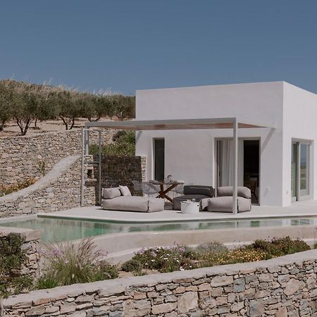 Melora Villas Paros Angairiá エクステリア 写真